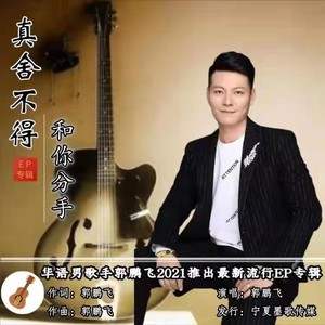 真舍不得和你分手